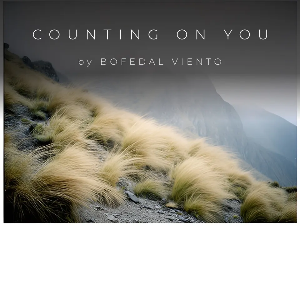 Kulit Counting on You oleh Bofedal Viento