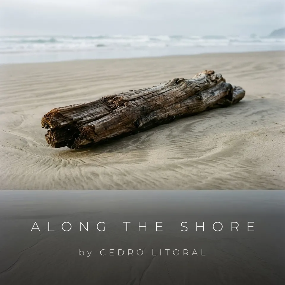 Along the Shore by Cedro Litoral, cover art