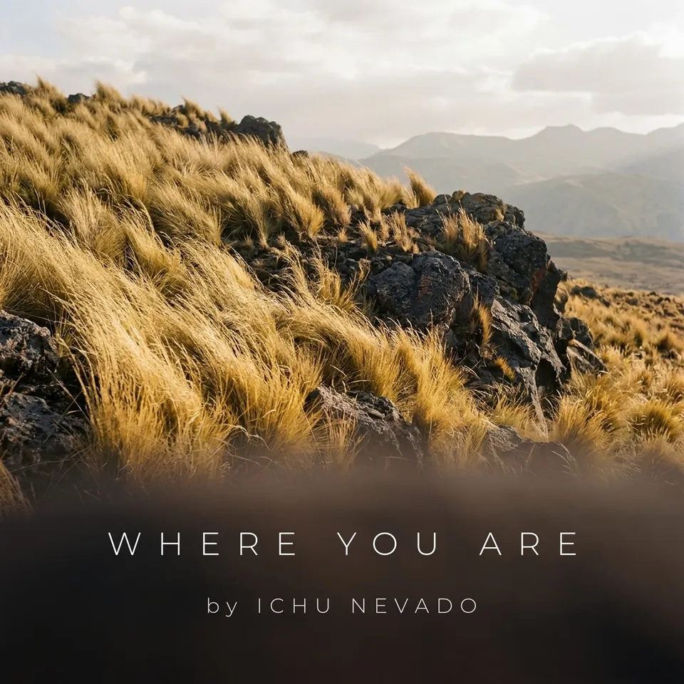 Where You Are by Ichu Nevado, cover art