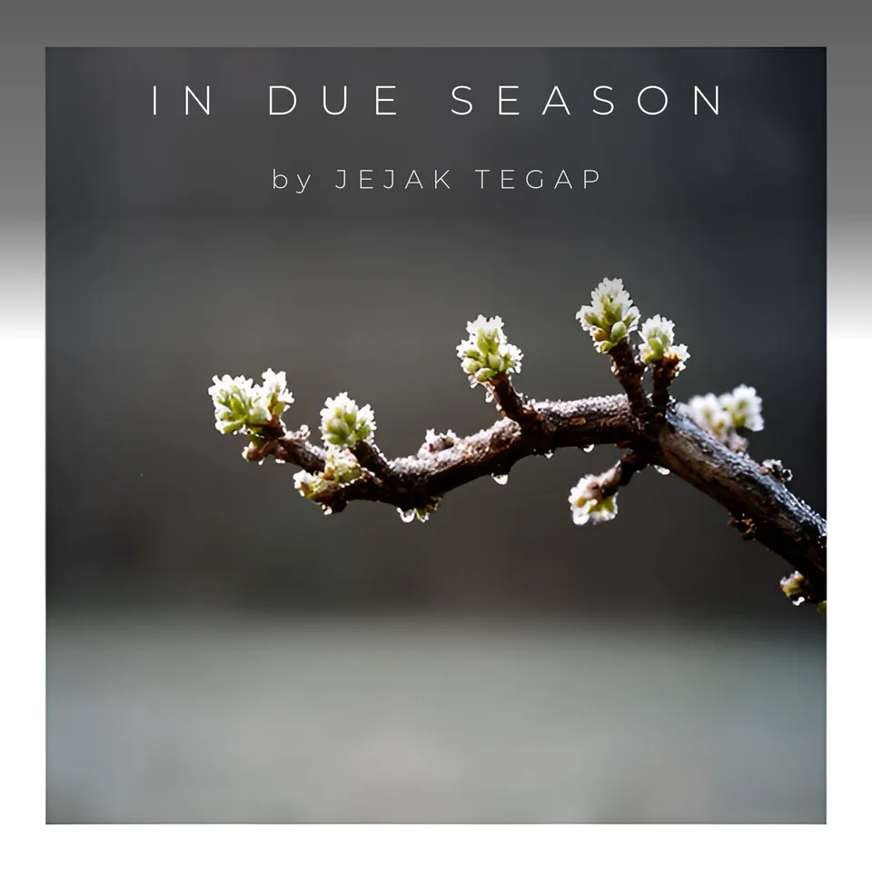 Kulit In Due Season oleh Jejak Tegap