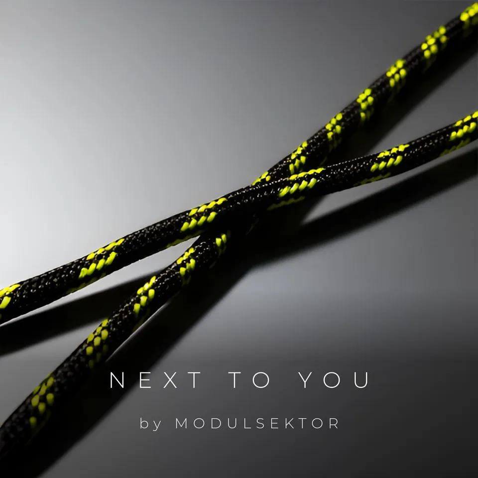 Next to You by Modulsektor, cover art