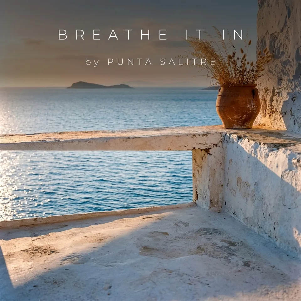 Breathe It In by Punta Salitre, cover art