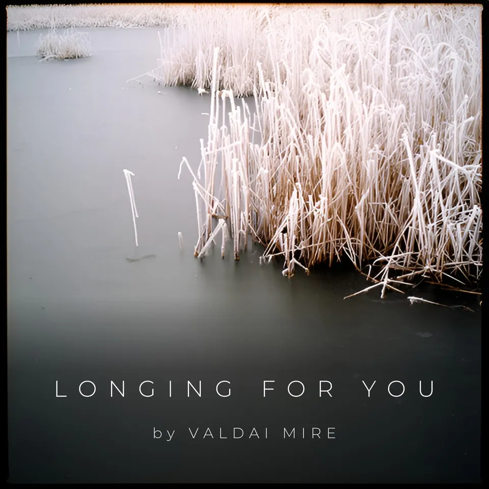 Longing for You by Valdai Mire, cover art